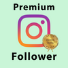Instagram Follower Premium kaufen